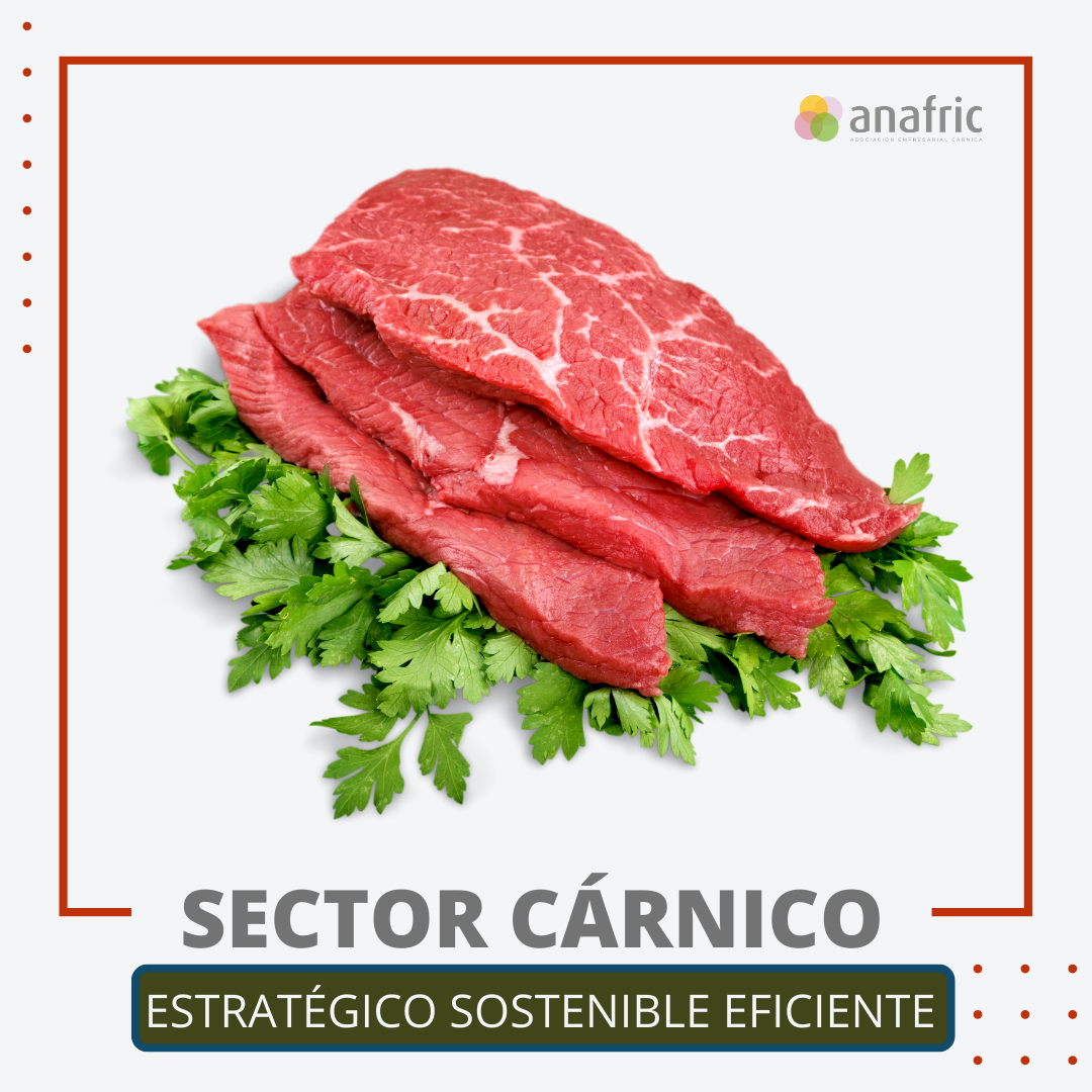 Sector C Rnico Estrat Gico Eficiente Y Sostenible Anafric