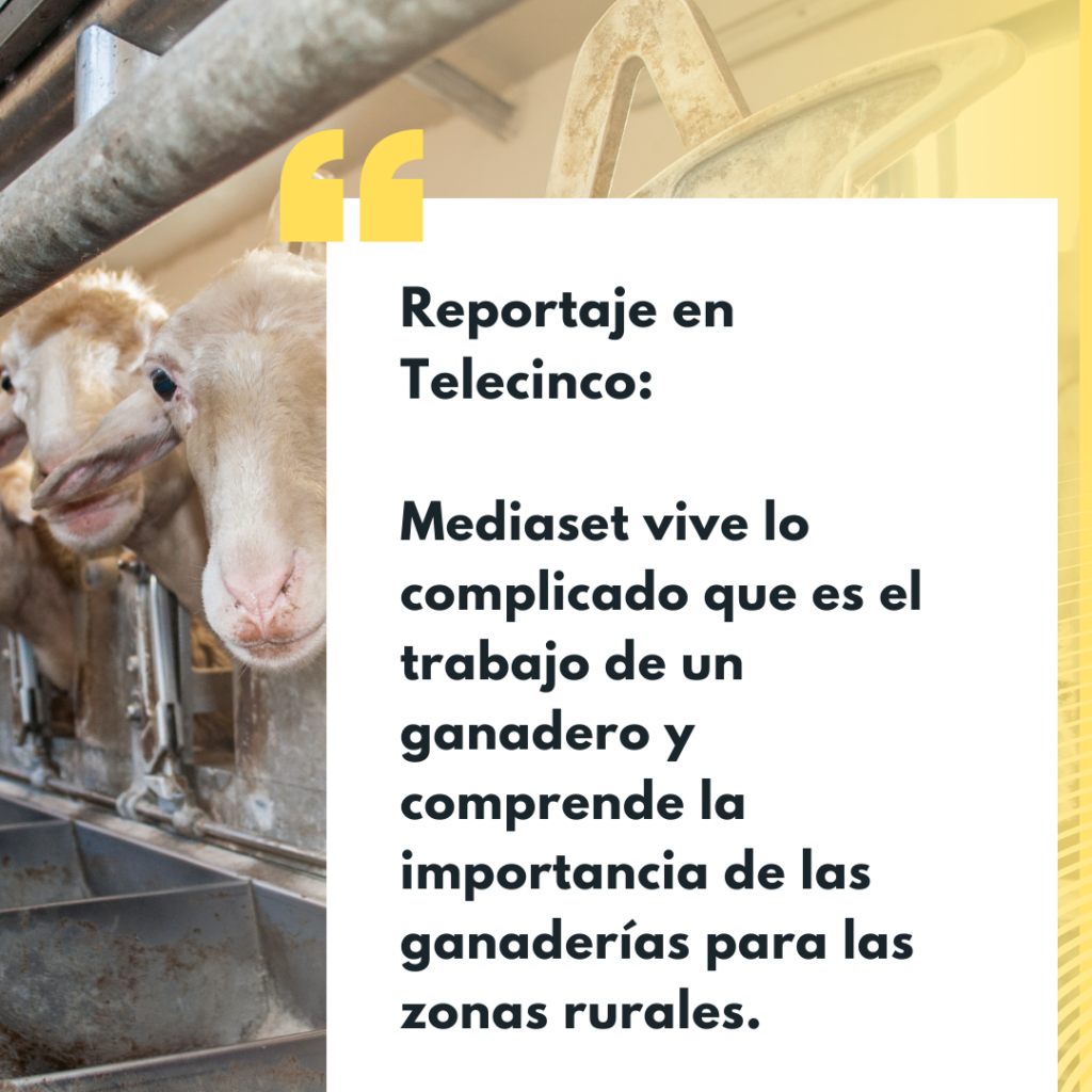 Reportaje en Telecinco: "Mediaset vive lo complicado que es el trabajo de un ganadero"