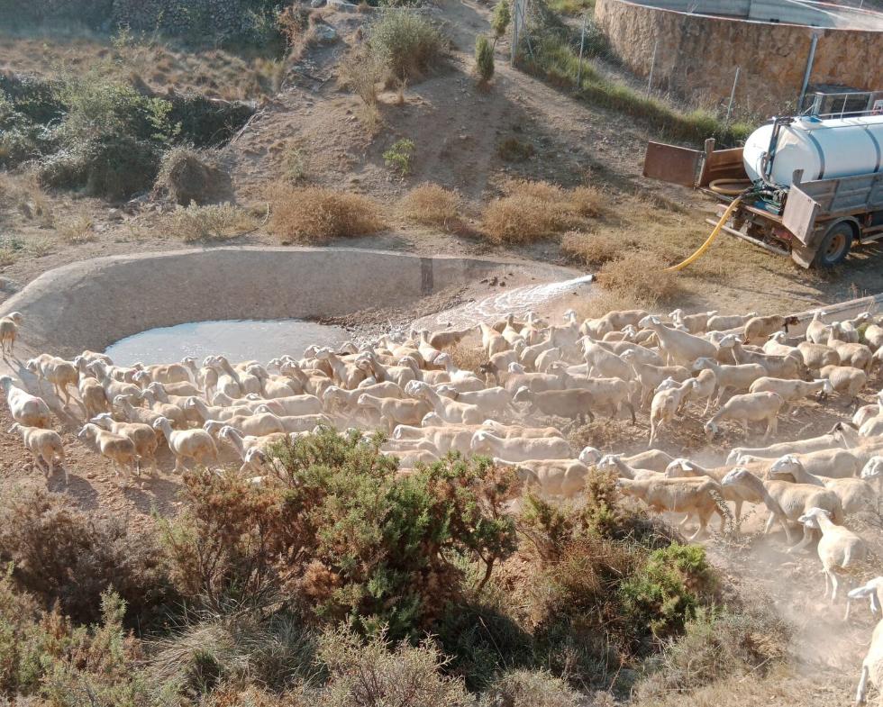 Suministro de 7 millones de litros de agua para abastecer a la ganadería en Valencia