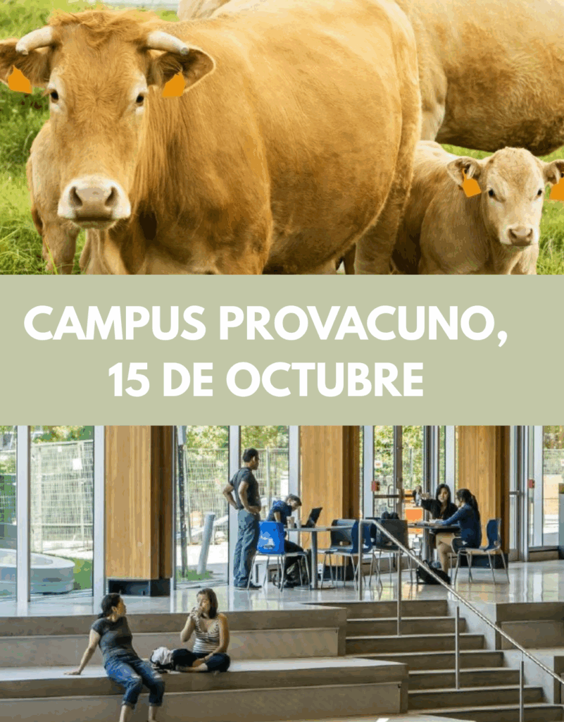 Campus Provacuno
