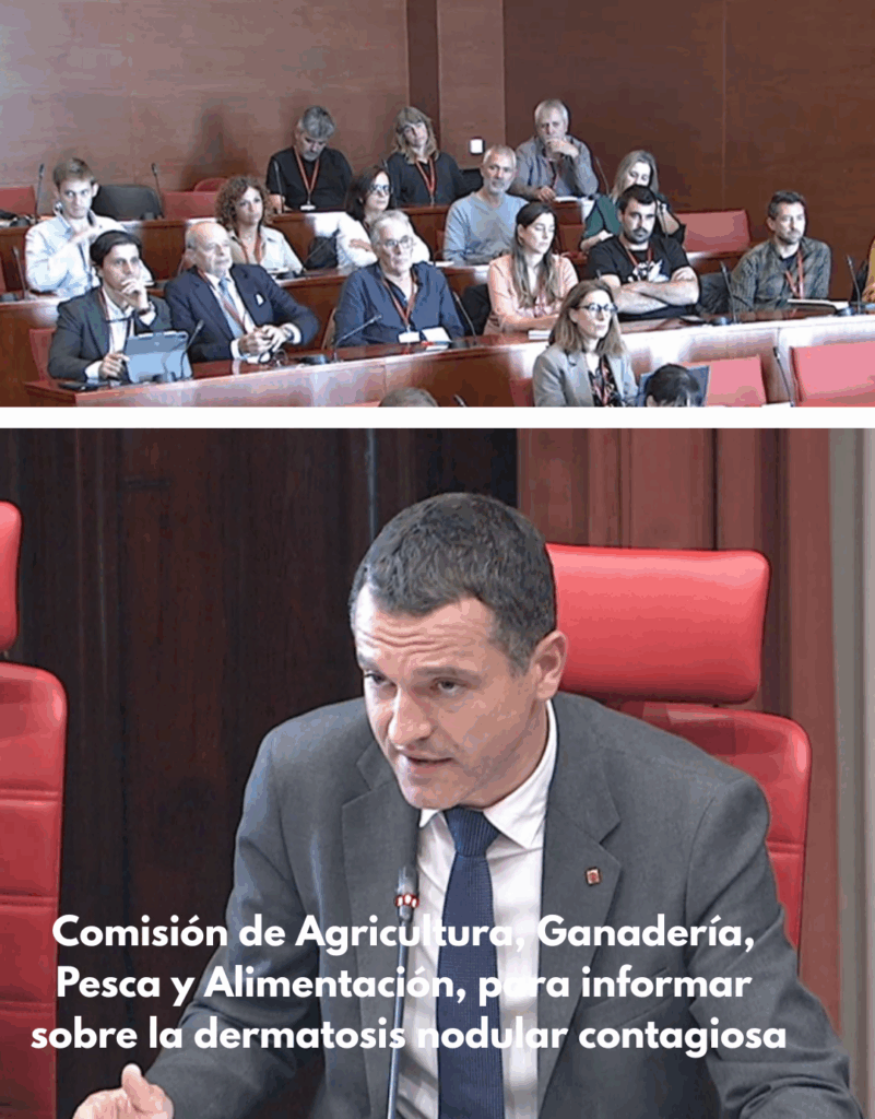 Comparecencia Generalitat