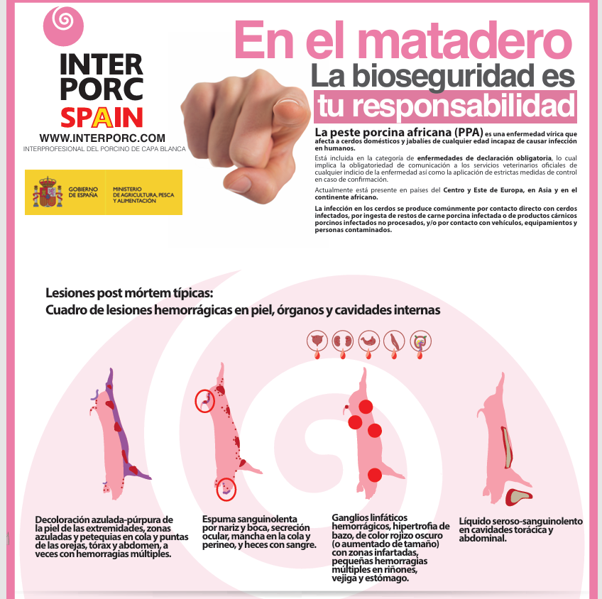 bioseguridad en el matadero