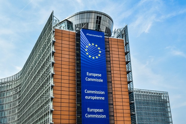 Anafric lleva a Bruselas los problemas del sector cárnico