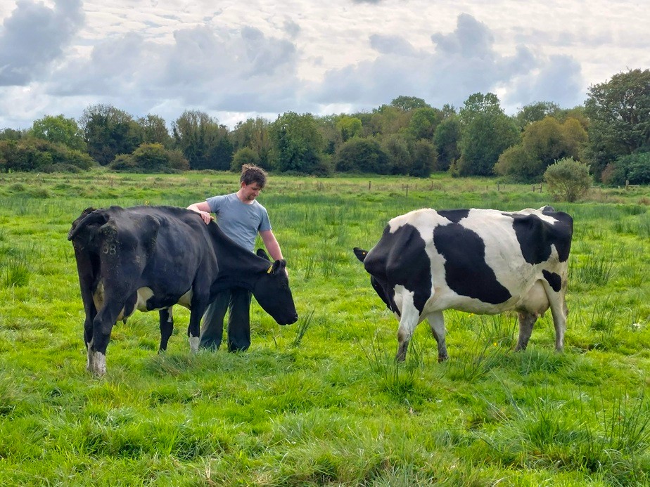 ¿Cómo asegurar un futuro sostenible para el sector ganadero de la UE ante la necesidad de garantizar la seguridad alimentaria, la resiliencia de los ganaderos y los retos que plantean las enfermedades animales?