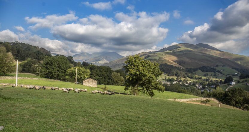 INTEROVIC_Valle-del-Pas