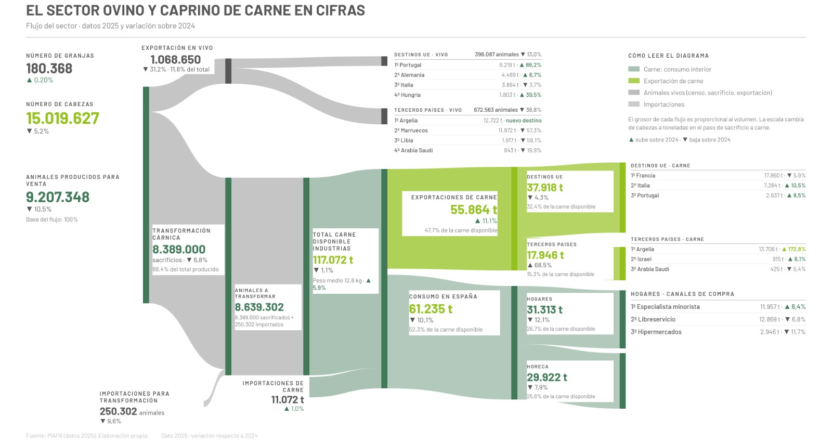 datos del sector ovino caprino